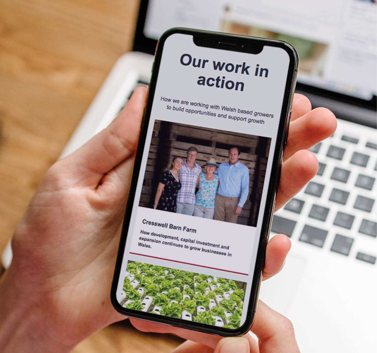 Lantra website on mobile